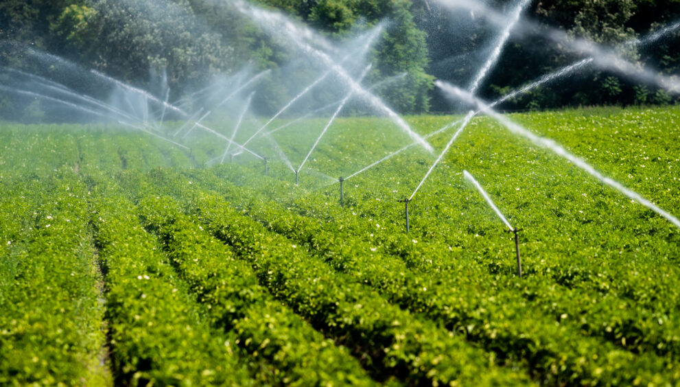 Irrigating farmland