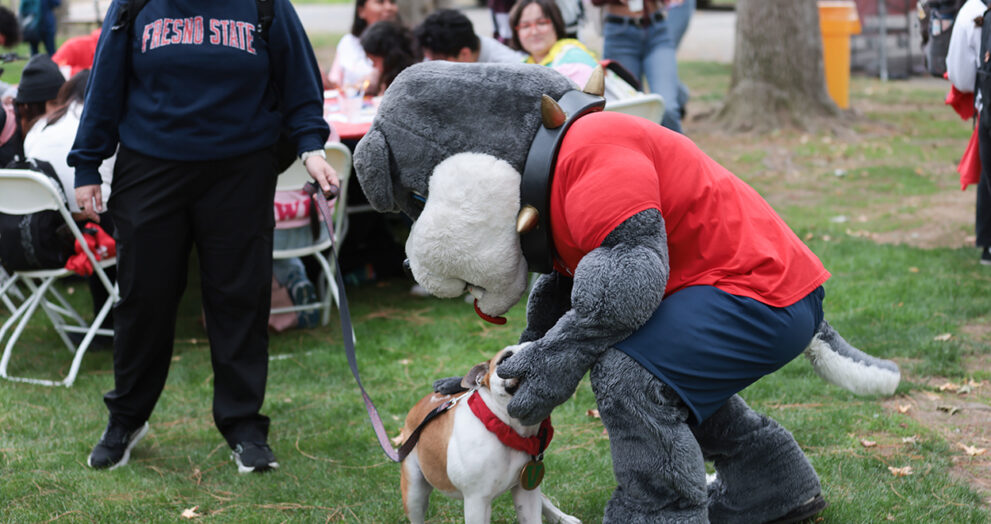Victor E. Bulldog and Timeout meet