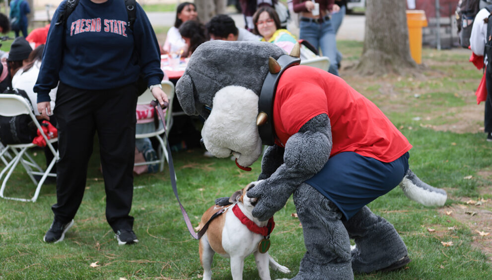 Victor E. Bulldog and Timeout meet